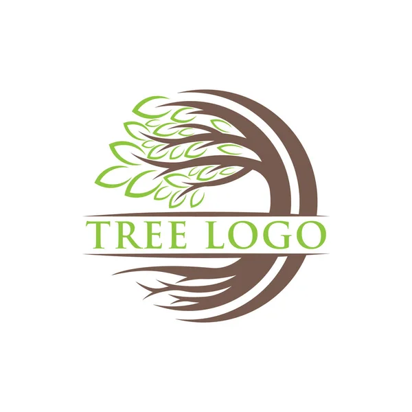 Árvore Logo Design Vector Illustration Árvore Abstrata Logo Vetor Conceito —  Vetores de Stock