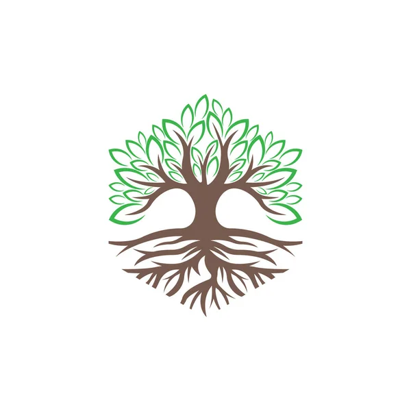 Σχεδιασμός Λογότυπου Δέντρου Εικονογράφηση Διανύσματος Abstract Tree Logo Διάνυσμα Δημιουργικού — Διανυσματικό Αρχείο
