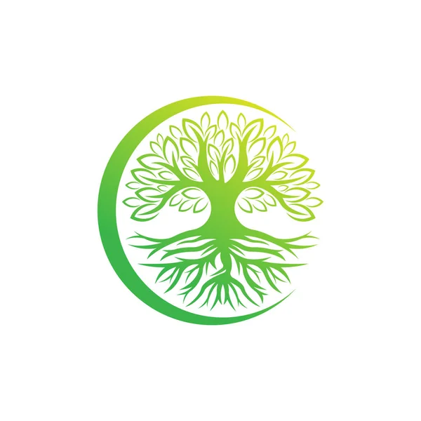 Árvore Logo Design Vector Illustration Árvore Abstrata Logo Vetor Conceito — Vetor de Stock