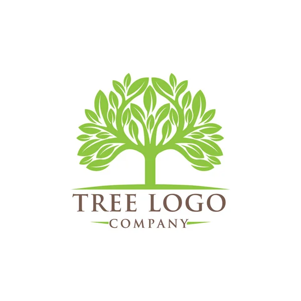 Ilustracja Wektora Projektu Logo Drzewa Abstrakcyjny Wektor Logo Drzewa Kreatywnej — Wektor stockowy