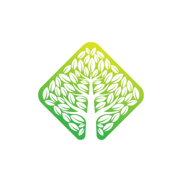 Illustration Vectorielle Conception Logo Arbre Abstrait Tree Logo Vecteur Dans — Image vectorielle