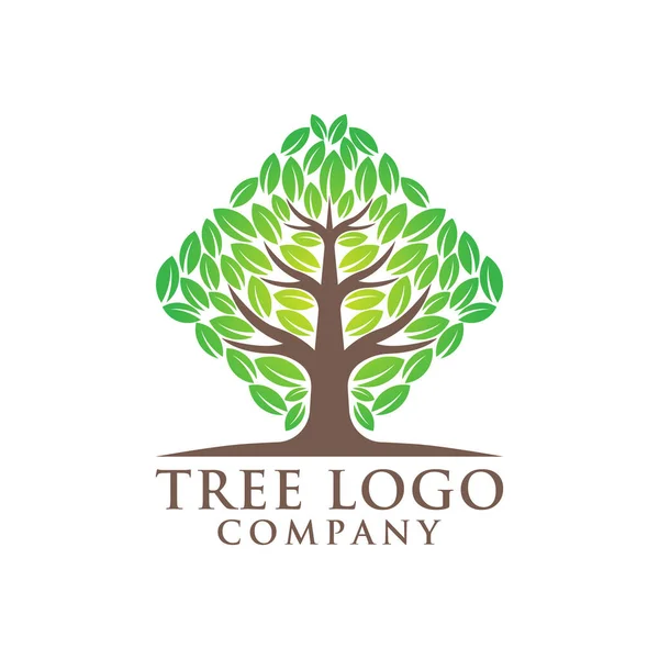 Tree Logo Design Vector Illustration Abstract Tree Logo Vector Creative — Stock Vector