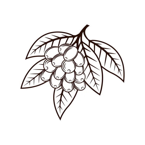 Illustration Vectorielle Design Coffee Tree Logo Concept Design Vectoriel Coffee — Image vectorielle