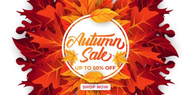 Dekoratif yapraklı sonbahar indirimi arka plan vektörü. Sonbahar Satış Vektörü arkaplan Çizimi. Reklam, el ilanı, web afişi, poster, broşür için soyut sonbahar indirimi tasarım şablonu