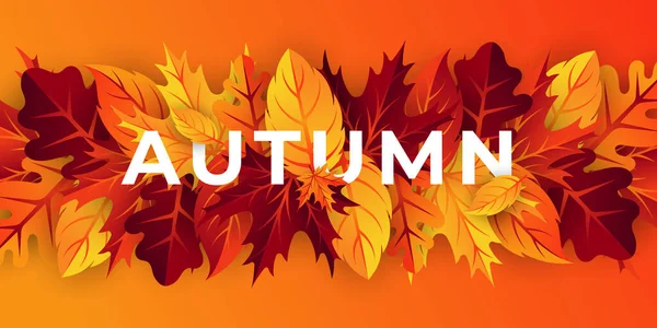Осенний Вектор Фона Декоративными Листьями Шаблон Векторного Фона Осенней Осени — стоковый вектор