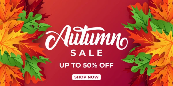 Autumn Sale Background Vector Decorative Leaves Autumn Sale Vector Background — Stock Vector