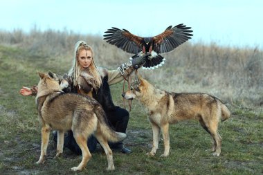 Kurtlar ve Harris Hawk (Parabuteo unicinctus) ile viking giysili güzel Kuzey savaşçı kadını. Viking kadın onun yırtıcı hayvan eğitim.