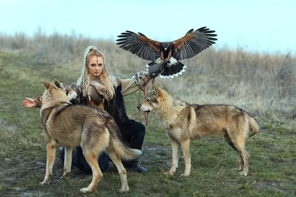 Kurtlar ve Harris Hawk (Parabuteo unicinctus) ile viking giysili güzel Kuzey savaşçı kadını. Viking kadın onun yırtıcı hayvan eğitim.