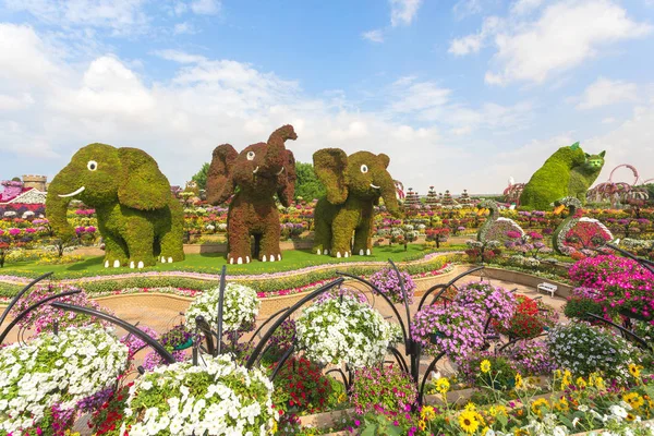 Dubai, Birleşik Arap Emirlikleri - Kasım 12, 2018:3 (üç) filler ve 2 (iki) girişinde mucize Garden Dubai turist karşılama çiçek yapılan kediler. 109 milyon çiçek Ortadoğu Birleşik Arap Emirlikleri bahçeden vardır.