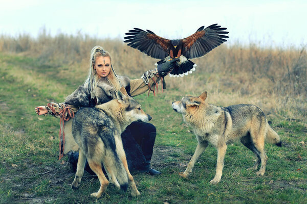 Beautiful northern warrior viking woman with traditional makeup with wolves and Harris Hawk (Parabuteo unicinctus). Viking woman training her predators.