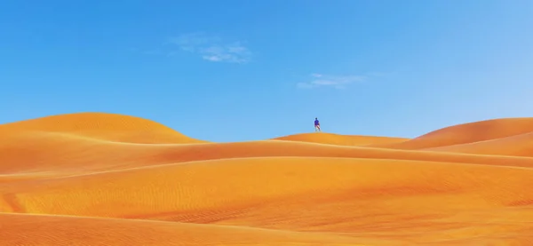 Uma Pessoa Cima Belas Dunas Vermelhas Deserto Turista Explorando Sozinho — Fotografia de Stock