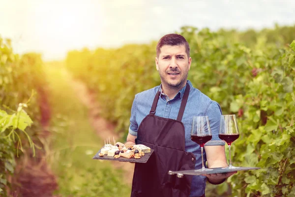 Modern wine maker in vineyard holding samples of red wine and different selection of cheese and salami - wine tasting with smiling man sommelier wearing apron serving bio farm products at winery