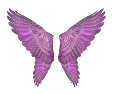 Yayılan beyaz zemin üzerine pinyon