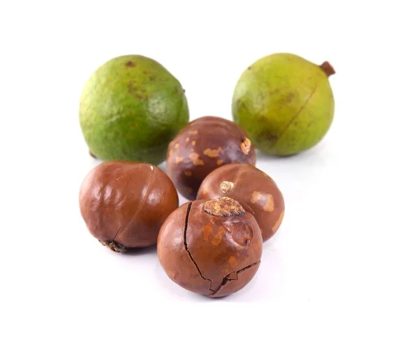 Орехи Макадамии Белом Фоне — стоковое фото