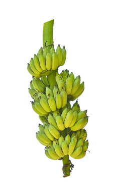 bananas isolated on white background clipart