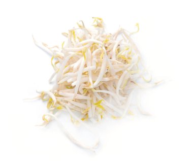 fasulye filizi, beyaz bir arka plan üzerinde soya filizi