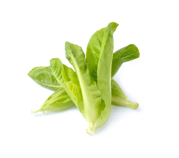 Bio Salat Isoliert Auf Weißem Hintergrund — Stockfoto