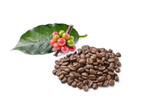 Collection Coffee Beans Isolated White Background — Stock Photo, Image