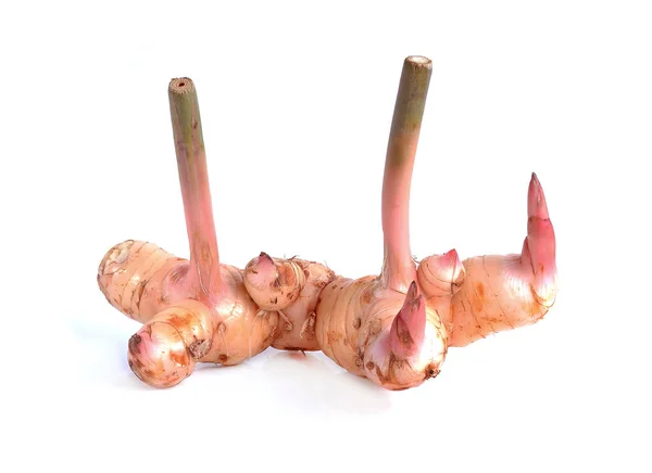 Galangal Aislado Sobre Fondo Blanco — Foto de Stock