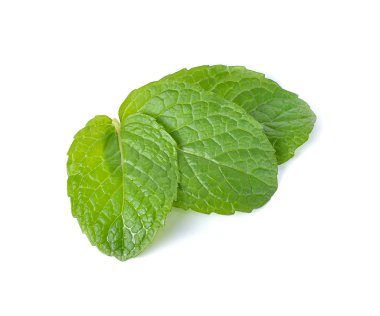 Beyaz arkaplanda izole edilmiş nane yaprakları