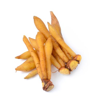 parmak kök Tayland mutfağı için malzemeler izole beyaz arka plan üzerinde