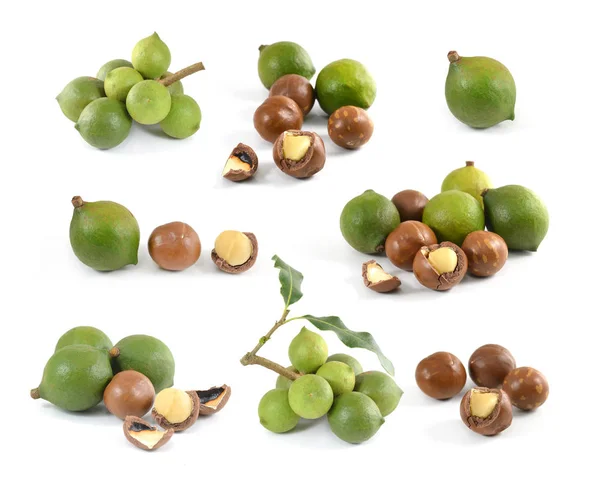 Nueces Macadamia Sobre Fondo Blanco — Foto de Stock