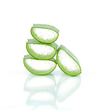 aloe vera izole taze yaprak beyaz arka plan