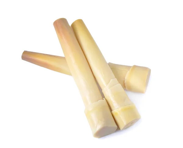 Bambù Sparare Isolato Sfondo Bianco — Foto Stock