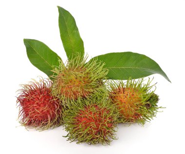 beyaz arkaplanda rambutan