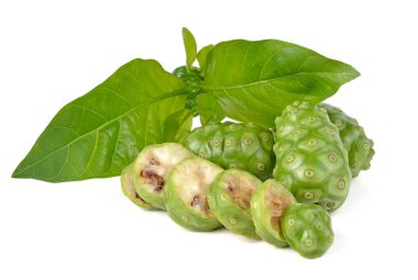  Büyük Morinda beyaz arka planda izole