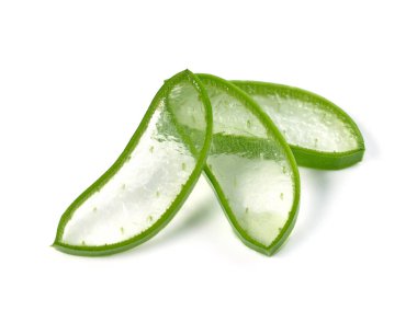 aloe vera taze yaprak. Beyaz arka plan üzerinde izole