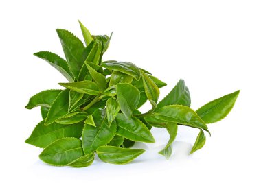 Beyaz arkaplanda yeşil çay yaprağı izole