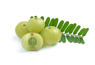 beyaz zemin üzerine bektaşi