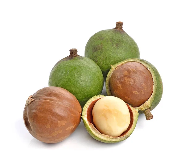 Kacang Macadamia Pada Latar Belakang Putih — Stok Foto