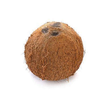 Beyaz arkaplanda hindistan cevizi