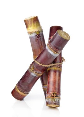 Beyaz sırtüstü izole edilmiş şeker kamışı