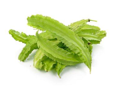 Beyaz arkaplanda kanatlı fasulye