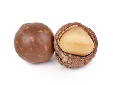 Beyaz arka planda izole edilmiş Macadamia fındıkları