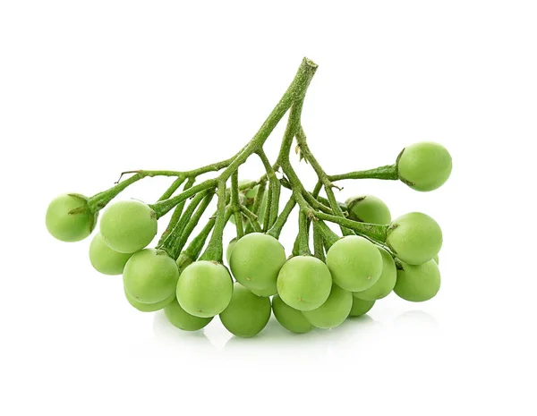 Solanum Torvum Λευκό Φόντο — Φωτογραφία Αρχείου