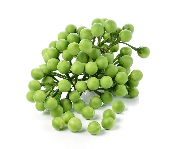 Solanum Torvum Sobre Fundo Branco — Fotografia de Stock