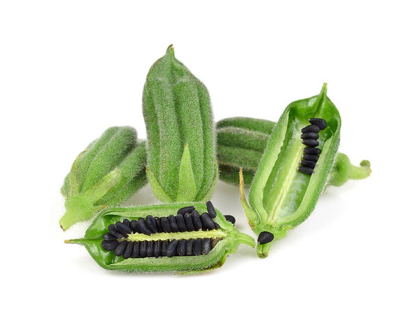Black Sesame Seeds isolated on white background.