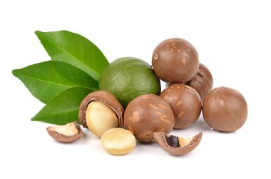 Beyaz arka planda Macadamia fındıkları