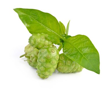  Büyük Morinda beyaz arka planda izole