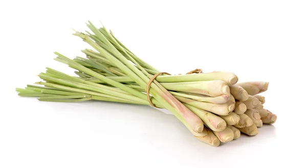 Lemon Grass White Background — Stock Photo, Image