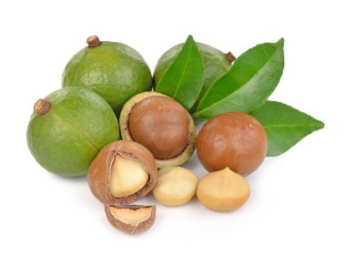 Beyaz arka planda izole edilmiş Macadamia fındıkları
