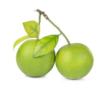 tatlı turuncu beyaz zemin üzerine izole.