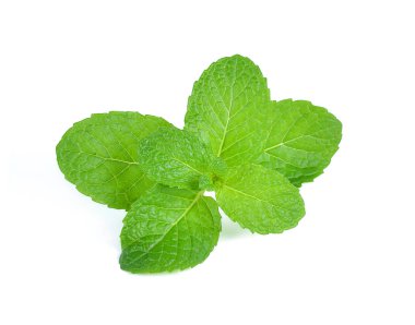 Beyaz arkaplanda izole edilmiş nane yaprakları