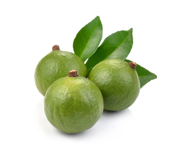 Noci Macadamia Sfondo Bianco — Foto Stock