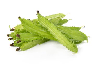 Beyaz arkaplanda kanatlı fasulye