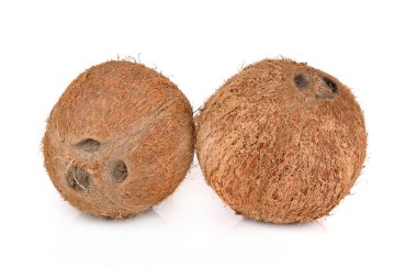 Beyaz arka planda hindistan cevizleri